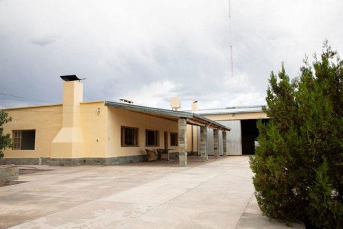Imagen 9 de 17 de Divina Quinta En San Rafael -viña, Ciruelos Y Chalet- 10has