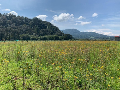 Imagen 2 de 14 de Terrenos En Venta A 15min De Valle De Bravo - Buen Precio