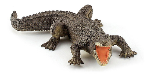 Modelo De Cocodrilo 5 Piezas