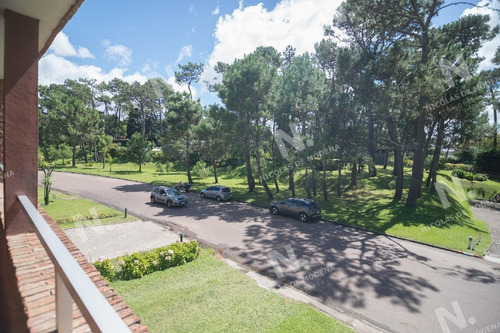 Imagen 8 de 26 de Hermoso Apartamento Esquinero En Zona Arbolada En La Parada 18 De La Mansa - Punta Del Este Mansa