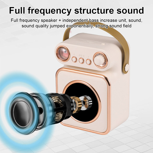 Set Inalámbrico De Micrófono Y Altavoz Para Karaoke Con Luz