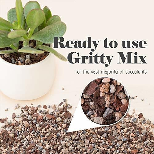Imagen 4 de 7 de Herramientas Para Bonsai Suelo De Cactus Y Suculentas Bonsai