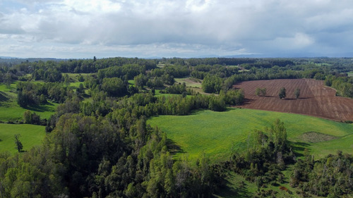 Campo En La Unión Cercano Al Lago Ranco 27,4 Hectáreas