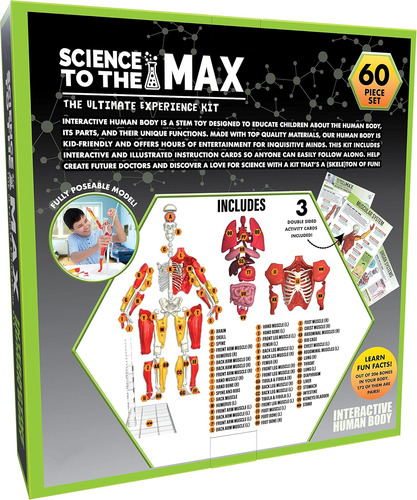 ¡sé Increíble! Toys Cuerpo Humano Interactivo - Figura De An