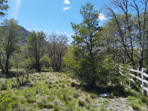 Terreno 5.000 M2 Sector Los Ñirres, Malalcahuello