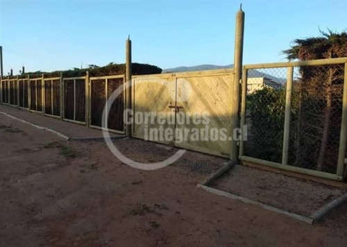 Imagen 4 de 6 de Sitio Plano Cercado Con Portón, En Venta En La Ligua