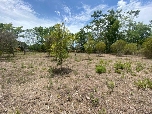 Venta Terreno 818.37 M² Col. Juana Moza Tuxpan Veracruz