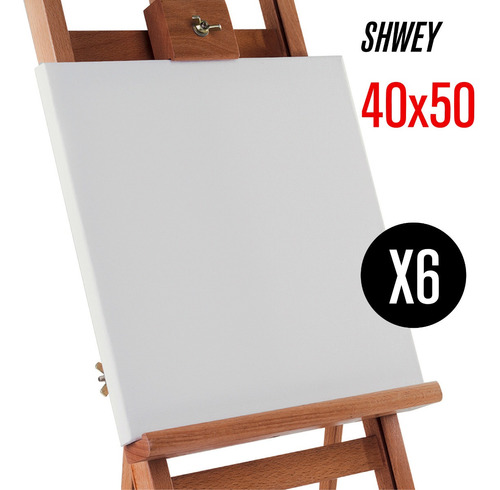 Bastidores Shwey 40x50 - 6 Unidades + Envio