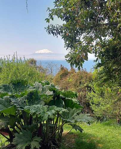 Casa Con Orilla De Playa En Punta Larga - Frutillar