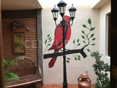 Imagen 17 de 30 de Se Renta En Col. Cuauhtémoc.