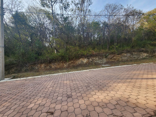 Venta Lote Gladiola 32 En Calle Privada De Nueva Zona De Fracc Rancho San Diego Ixtapan De La Sal Edomex Con Todos Los Servicios Y Vistas Panorámicas.