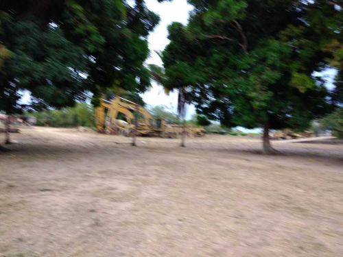 Imagen 5 de 24 de Hato En Venta En Santa Bárbara De Barinas