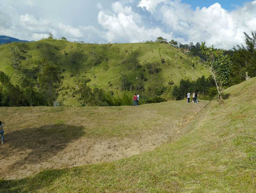 Lote En El Peñol