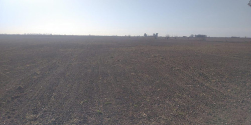 Campo En Serodino