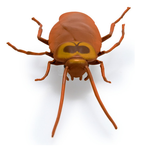Hex Bots Nano Real Bugs, 5 Insectos Falsos, Mini Robots Nano Bugs Multicolor