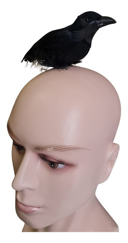 Modelo Simulação Pássaro Corvo Negro Animal Halloween
