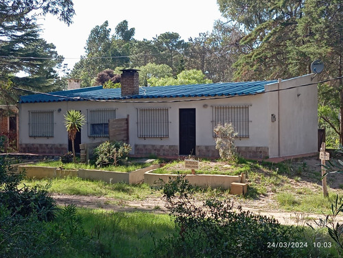 Alquilo Casa En Punta Colorada