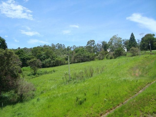 Imagem 10 de 11 de Terreno Industrial À Venda, Bairro Da Ponte, Itatiba - Te2782
