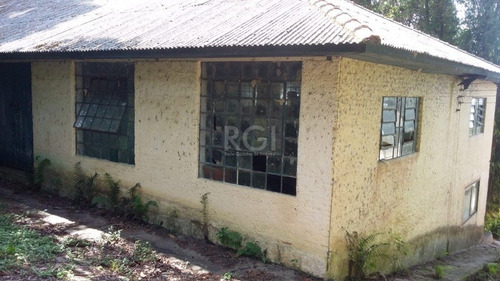 Area Em Ponta Grossa - Bt10982