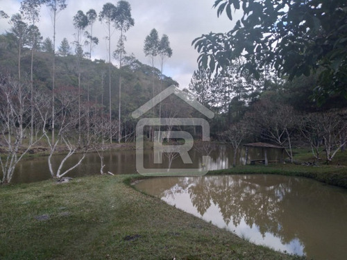 Imagem 27 de 30 de Itio Ideal Para O Seu Lazer Tendo 3 Lagos Piscosos Com Peixe, 02 Nascentes Próprias, Pomar, Horta. - 77 - 70066608