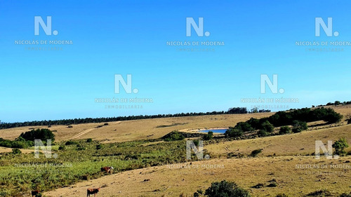 Gran Chacra Entre José Ignacio Y Garzón.- Ref: 2784