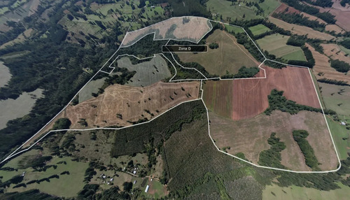 Parcela Frutillar 5.000m2 Praderas Del Pedernal, D6.