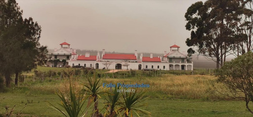 Imagen 8 de 11 de Jose Ignacio Venta Buena Chacra 5 Has Sobre Ruta 9 Cw148172 Cw148172