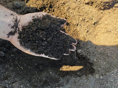 Tierra Negra Preparada Con Abono Bolsa De 18lt Ideal Huerta