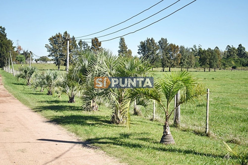 Imagen 13 de 19 de Chacra San Carlos Ruta 9
