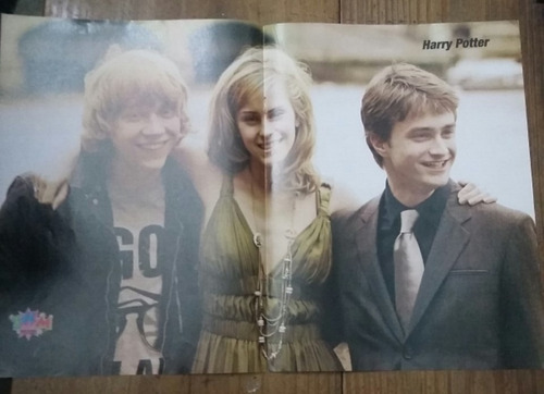 Poster De Harry Potter (ps)