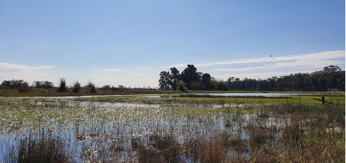 Lote Venta Estancia Villa Maria Frente A  Laguna   Canning Ezeiza