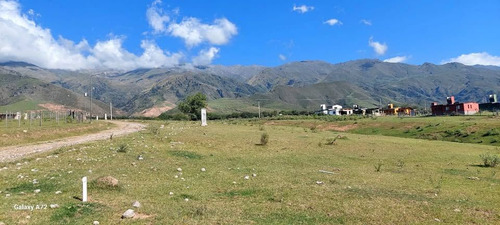 Terreno En Venta En El Rodeo