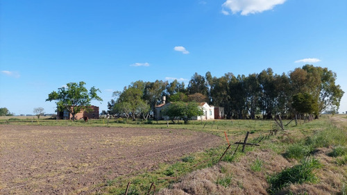 Imagen 10 de 13 de Campo Mixto De 94 Ha En Saladillo