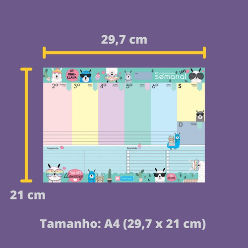 Imagem 9 de 10 de Planner De Mesa Semanal Permanente A4