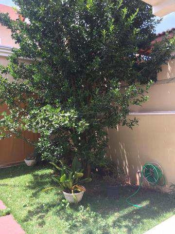 Imagem 5 de 13 de Quinta Das Atirias | Casa 224m 4 Dorms 4 Vagas | 7479 - V7479