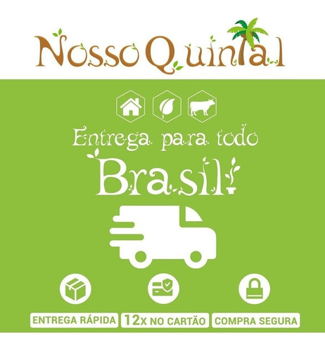 Caiaque Pequeno Remo Brudden Banco Corda Pesca Passeio Tour