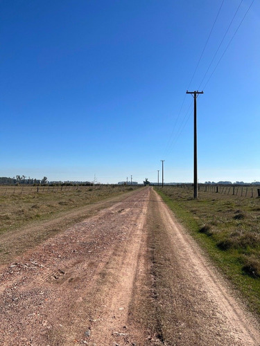 Imagen 5 de 7 de Venta - Fracción Ruta 47 - Luján