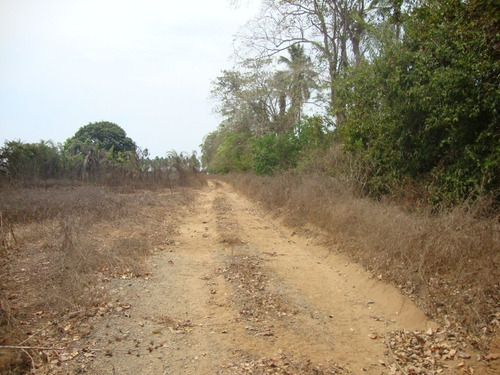 Imagen 2 de 5 de Terreno En Playa Encantada Zona De Ejido El Podrido