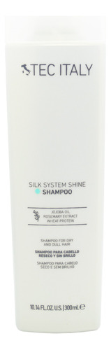 Tec Italy Silk System Shine Shampoo Cabello Reseco 300ml 6c