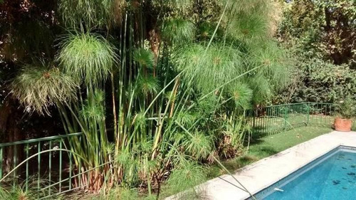 Imagen 20 de 22 de Casa En Venta En Rincón De Maschwitz, Escobar, G.b.a. Zona Norte