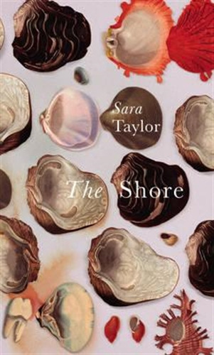 The Shore, de Taylor, Sara. Editorial william heinemann, tapa blanda en inglés internacional, 2015