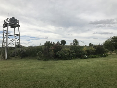 Venta De Chacra Sobre Ruta 9 A 30 Km De Jose Ignacio- Ref: 6626