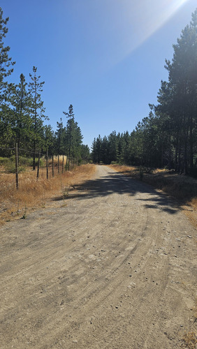 Vendo Parcela De 5.000m² Ubicada En Cauquenes