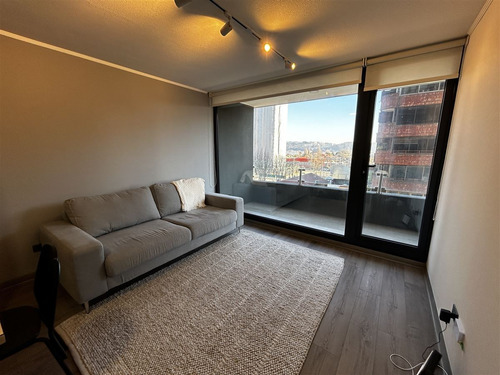 Arriendo Depto Amoblado 1 Dormitorio 1 Baño