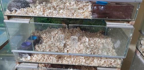 Peceras Para Hamster Cuises Erizos Usadas. Un Metro X 60 (Usado)