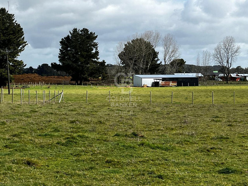 Parcela Puerto Octay Circuito Lago Llanquihue