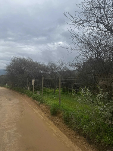Parcelas De Agrado 10000 M2 Curacavi Ruta 68 (176809)