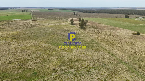 3 Hectáreas En Noya, Departamento De Canelones