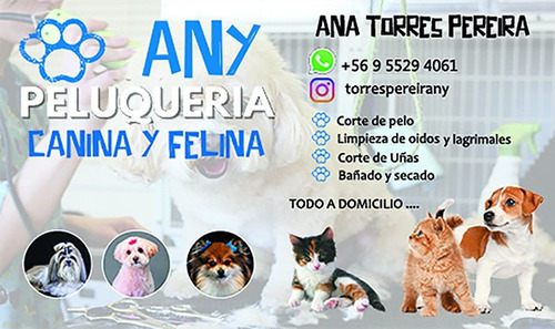 Peluqueria Canina Y Felina A Domicilio 