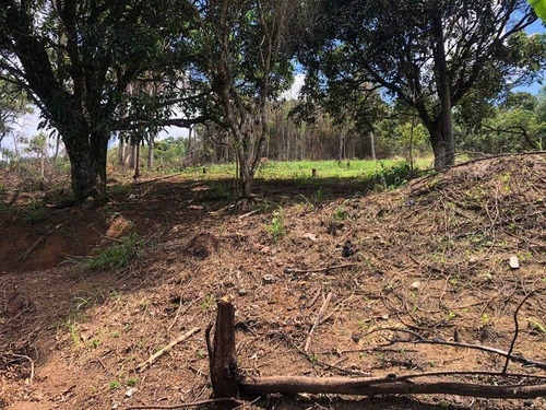 Imagem 5 de 7 de Terreno, Parque Sinai, Santana De Parnaíba - R$ 200 Mil, Cod: 235775 - V235775
